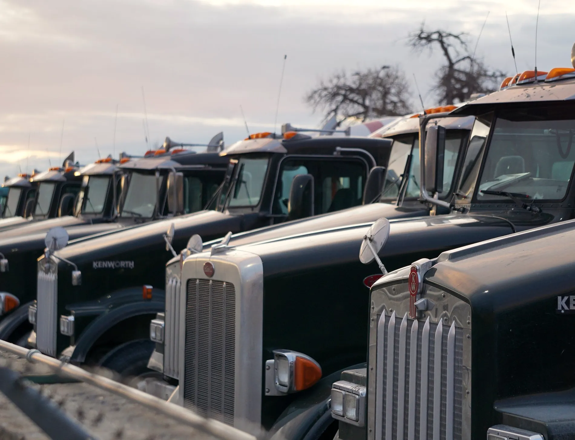 Line of Kenworth bonneted heavy tractors drawn up in a yard