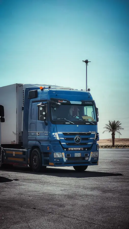 Prime mover parked at a Saudi highway stop with a palm tree beyond